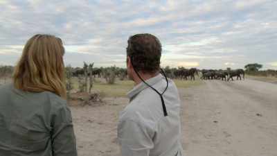 A visit
to their local corridor reveals - In the Footsteps of Elephant