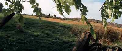 A WALL OF BLOODY TROOPS. - No Blade of Grass