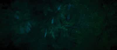 A way for all half-bloods to live. - Percy Jackson: Sea of Monsters