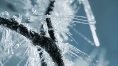'A week later,
the temperature plummets... - A Year on Planet Earth