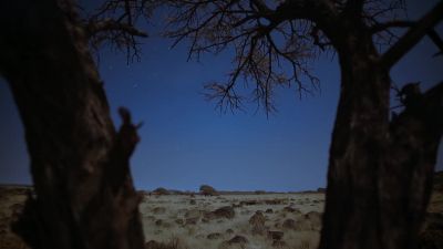 A week has passed. - Earth at Night in Color