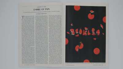 A week or two after
my article came out, - All the Beauty and the Bloodshed