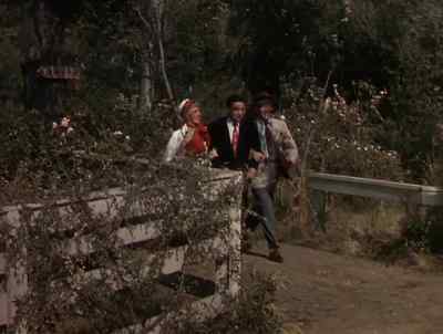 A weekend in the country Never will let you down - The Barkleys of Broadway