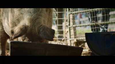 A wise old farmer once told me, - The Biggest Little Farm: The Return