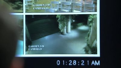 ...A wolf's feeding
requirements is 1.5 tons of meat. - CSI: Crime Scene Investigation