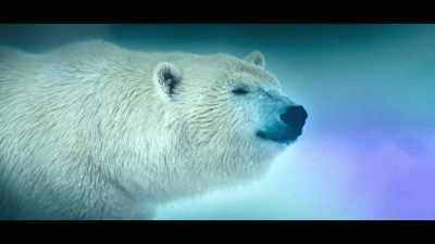 A world of extraordinary animals... - Super/Natural