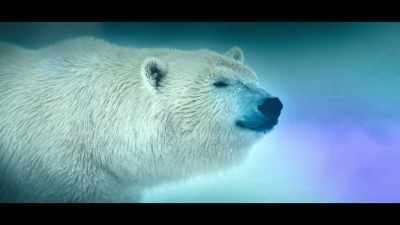 A world of extraordinary animals... - Super/Natural