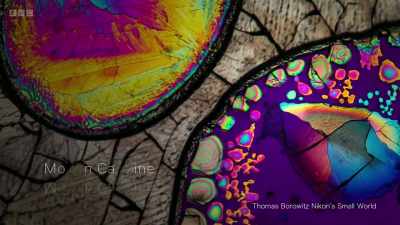 A world very different
from our own. - Secrets of Size: Atoms to Supergalaxies