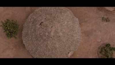 A yam is used to make pounded yam - House of Ga'a