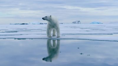 A young female. - Hostile Planet