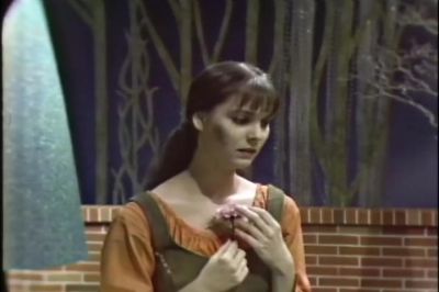 A young lady given to sudden - Cinderella