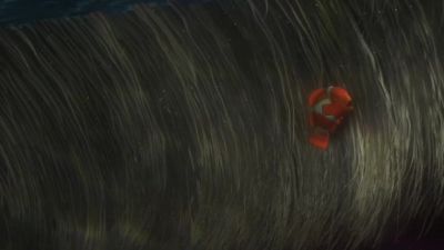Aaah! - Finding Nemo