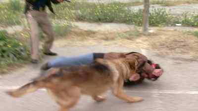 AAH! AAH! AAH! - Reno 911!