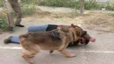 Aah! Aah! Aah! - Reno 911!