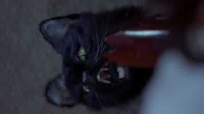 Aah! Oh! Aah! Aah! - Scary Movie 2