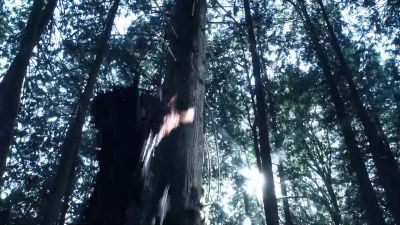 Aah! - The 100