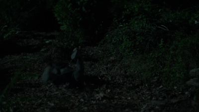 Aah! - The 100