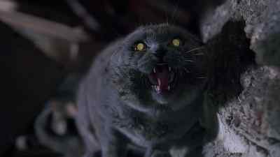 Aah! - Pet Sematary