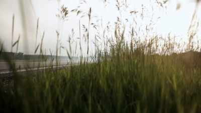 AARON ROBINSON: WE'VE
SPENT THE LAST CENTURY - Origins: The Journey of Humankind