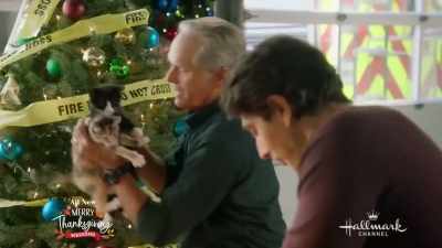Abby - The Nine Kittens of Christmas