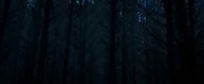 ABNER: I think we're lost. - Pete's Dragon