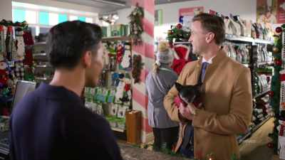 About 30 of them, - Hotel for the Holidays