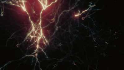 About a thousand
trillion bits. - Cosmos: Possible Worlds
