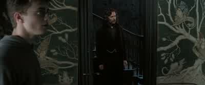 About the only useful thing I've been able to do. - Harry Potter and the Order of the Phoenix