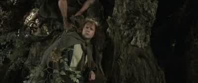 ...about the wars of Men and wizards... - The Lord of the Rings: The Two Towers