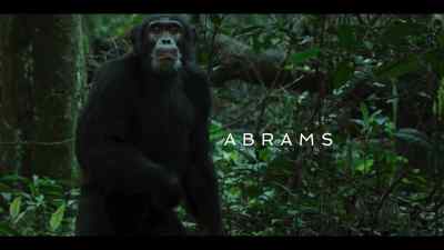 Abrams is here. - Chimp Empire
