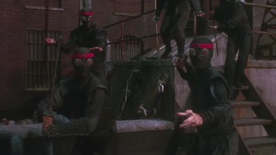 Abridged book of Ninja fighting - Teenage Mutant Ninja Turtles