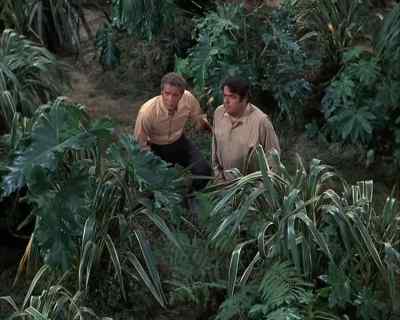 Absolutely nothing will take
that sergeant's attention
away from us, - Land of the Giants