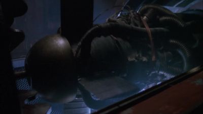 [ Accelerating Whir ] - Firefly