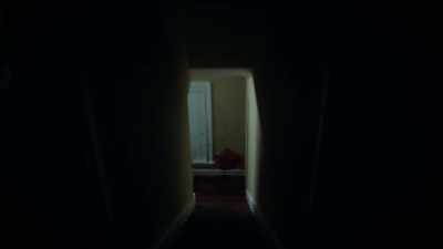ACCIDENTAL FALLS IN THE HOUSE - An American Murder Mystery: The Staircase