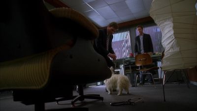 Accidents happen. - House