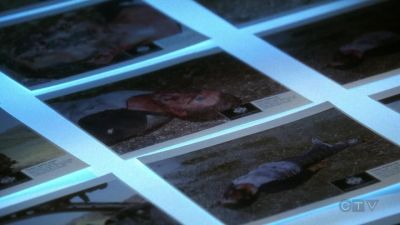 According to Locard's theory, - CSI: Crime Scene Investigation
