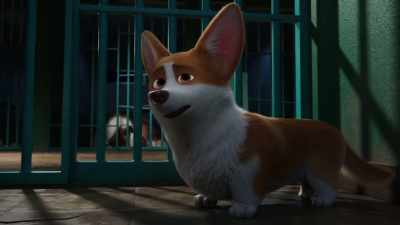 According to me, either you are chosen by a visitor, which will be difficult, - The Queen's Corgi