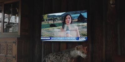 - According to the
livestock commissioner, - Yellowstone