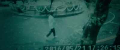 According to the surveillance camera, - The Tag-Along 2