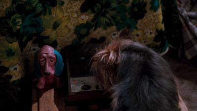 Ace it's E - Ace Ventura: Pet Detective