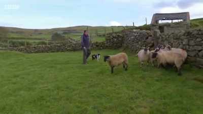 Ach, why are you following me? - Chronicles of the Glens