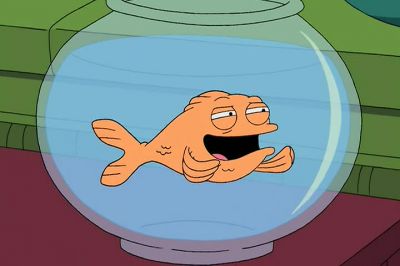 Ach why didn't you say you were having work done - American Dad!