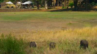 Across Africa, - The Year Earth Changed