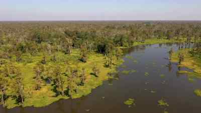 Across the bayou... - Swamp People