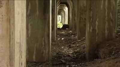Across the middle of the - Cropsey