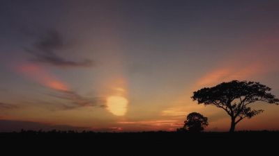Across the ocean, dawn breaks over Kenya, - A World of Calm