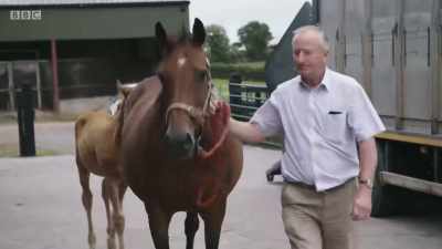 Across the wheat fields
and pastures to Tullyraine... - Mountain Vets