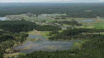 Across this vast continent, - Prehistoric Planet
