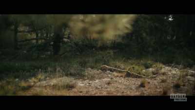 -Acting on this information
that clark had provided, - Lady of the Dunes: Hunting the Cape Cod Killer