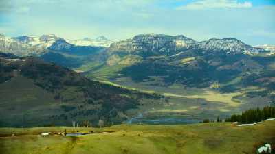 Active conservation
is responsible for protecting - Our Great National Parks